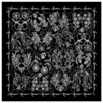 wzor feminizm czarna spadiora