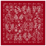 wzor feminizm bordo spadiora