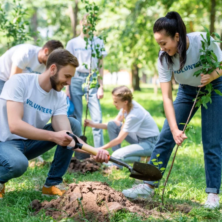 10 309 posadzonych drzew