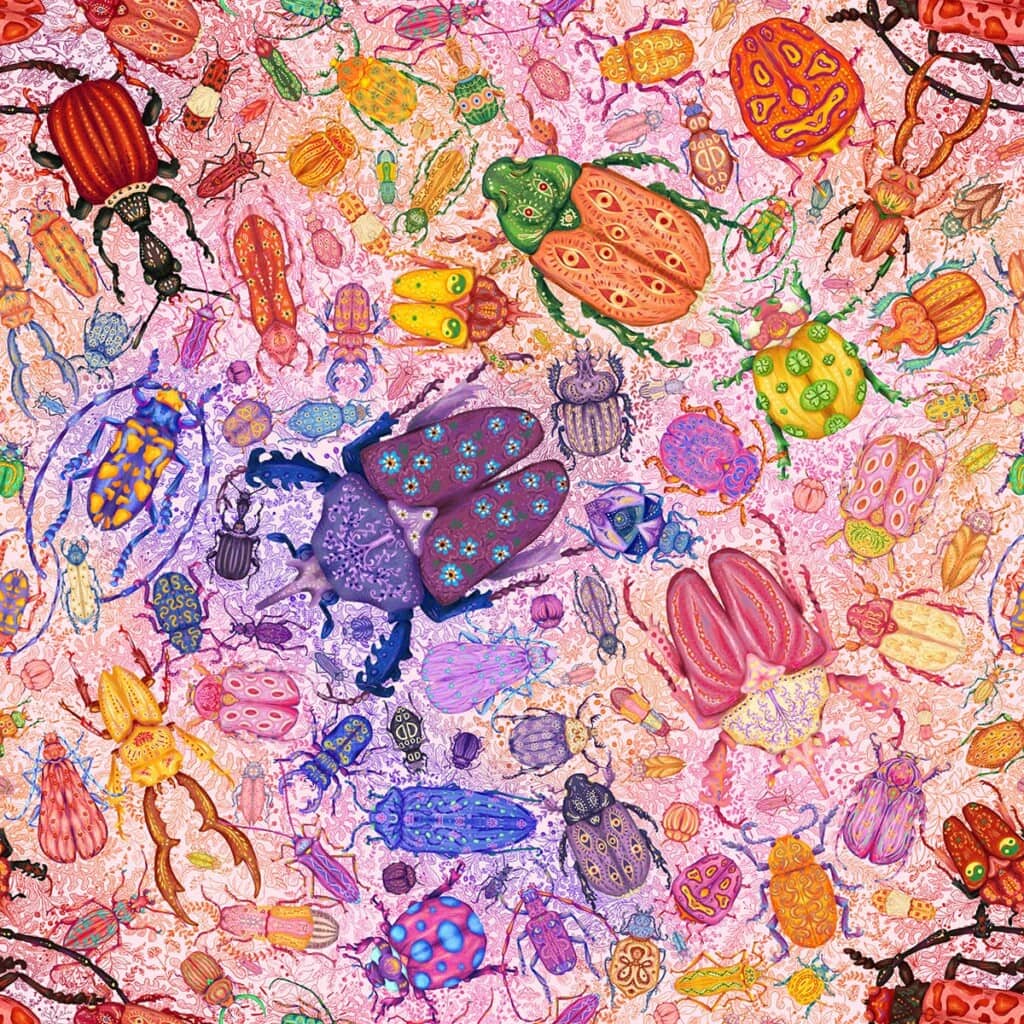 wzor zuki spadiora 1