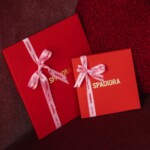 apaszka jedwabna dwustronna zwiaz mnie spadiora 12