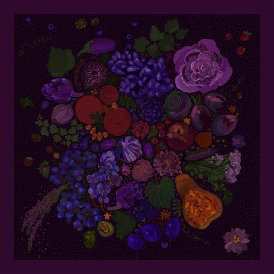 wzor powidla spadiora