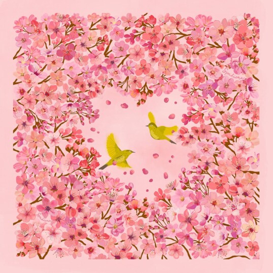wzor sakura o poranku spadiora
